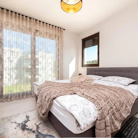 Salteria Premium 5 רוביני